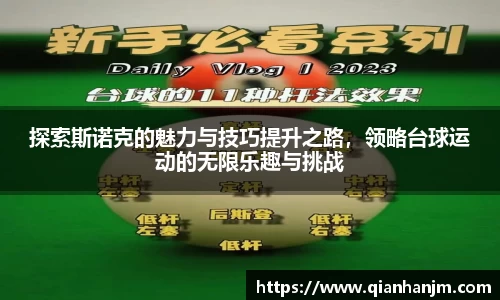 探索斯诺克的魅力与技巧提升之路，领略台球运动的无限乐趣与挑战